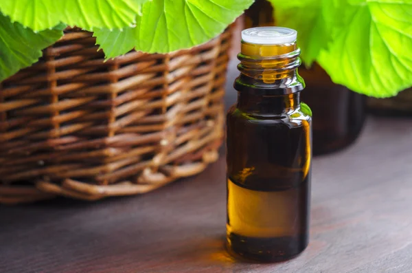 Small bottle of essential oil — Stock Photo, Image