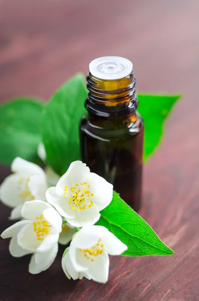 Essential jasmine oil — Stock Photo, Image