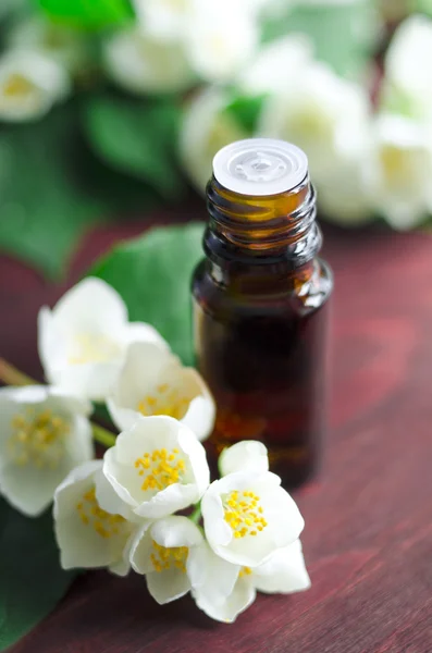 Essential jasmine oil — Stock Photo, Image