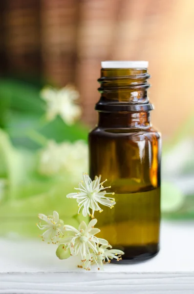 Essential linden oil — Stock Photo, Image