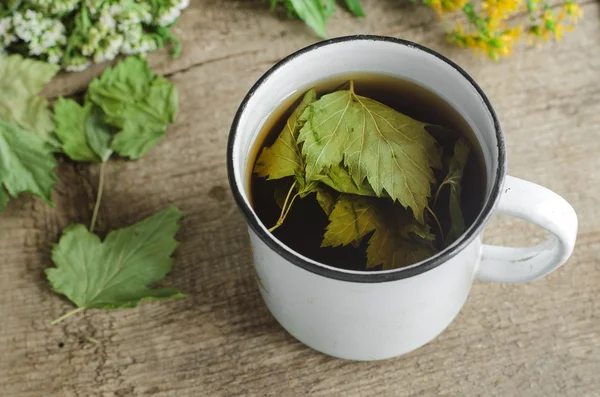 Segelas teh herbal (infus) dengan daun kismis hitam kering — Stok Foto