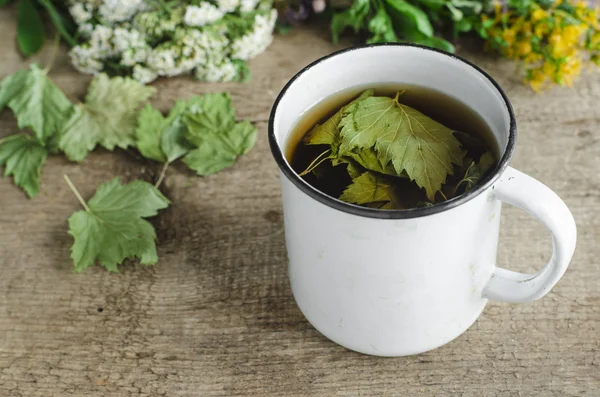 Segelas teh herbal (infus) dengan daun kismis hitam kering — Stok Foto