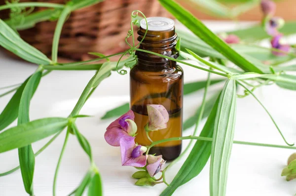 Small bottle of essential oil — Stock Photo, Image