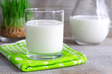 Bir bardak taze ev yapımı yoğurt