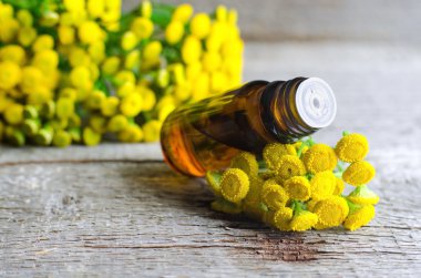 Temel solucan otu yağı