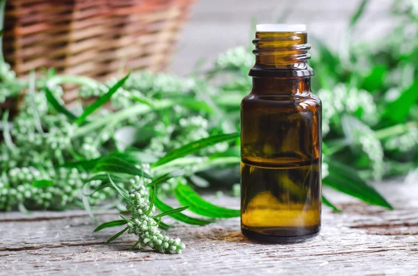 Essential wormwood oil — Stock Photo, Image