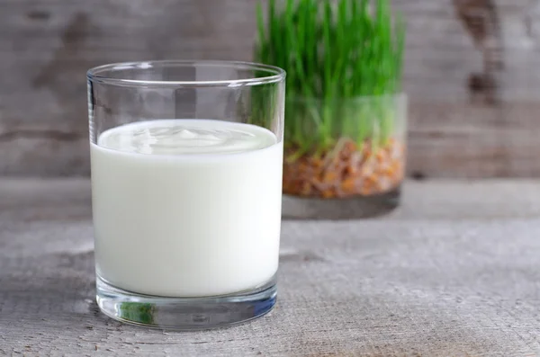 Verse zelfgemaakte yoghurt in een glas — Stockfoto