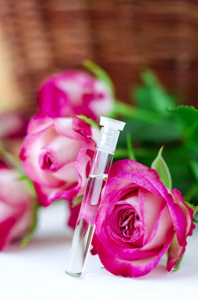 Vůně růže olej (přírodní parfém) — Stock fotografie
