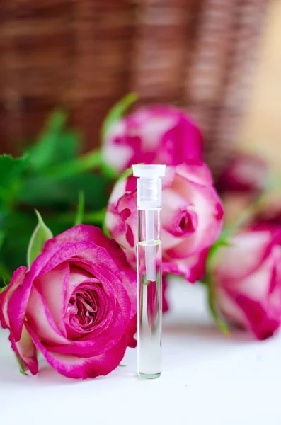 Vůně růže olej (přírodní parfém) — Stock fotografie
