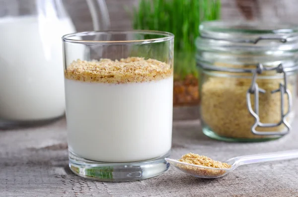 Verse zelfgemaakte yoghurt met tarwekiemen — Stockfoto