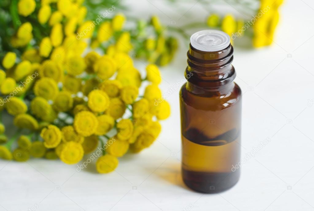 Small bottle of essential tansy oil