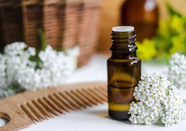 Small bottle of essential yarrow oil — Stock Photo, Image