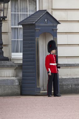 Buckhingham Sarayı'nda Kraliçe Asker Muhafız