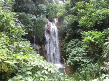 el nicho şelale.