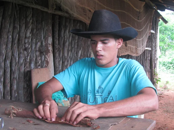 Tipo cubano haciendo puros típicos Cubano —  Fotos de Stock