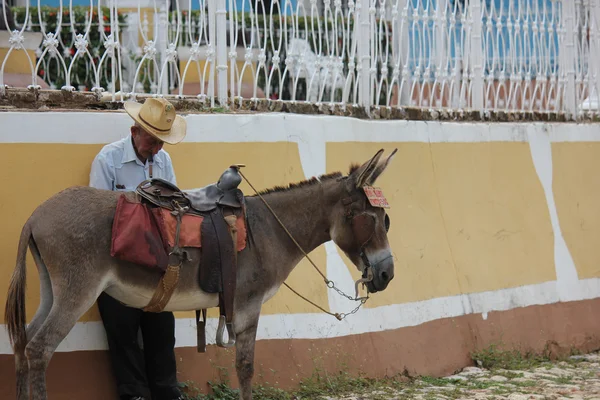 Viejo fumando un cigarro —  Fotos de Stock