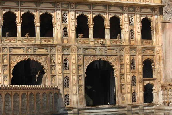 Galta o il Tempio delle Scimmie in India — Foto Stock