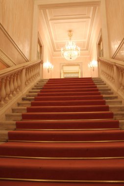 La fenice iç