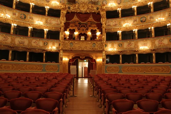 Интерьер театра La Fenice, интерьер театра La Fenice, Венеция — стоковое фото