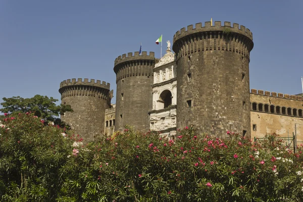 Castel Dell 'Ovo, Nápoles, a través de vegetación — Foto de Stock