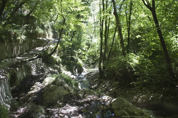 Valle delle Ferriere path in Amalfi — Stock Photo, Image