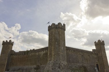 Montalcino Castle, mimari detay