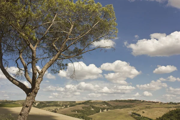 Tuscany krajobraz w słoneczny dzień — Zdjęcie stockowe