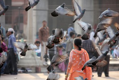 JAMA Mescidi Delhi, kişi ile ana kare genel bakış