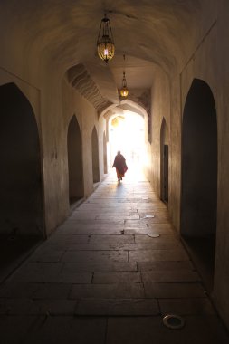 Amber Fort, Hindistan'ın iç koridor