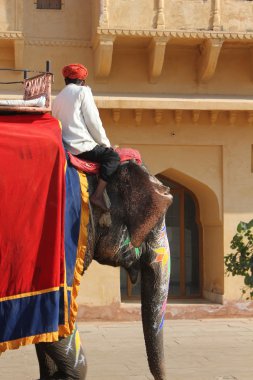 Geleneksel boyalı desenlerle süslenmiş fil