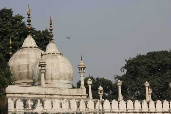 Detalhe arquitetônico de Moti Masjid — Fotografia de Stock