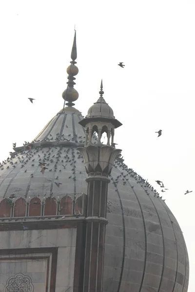 JAMA Masjid i Delhi tak och dome arkitektoniska detaljer — Stockfoto