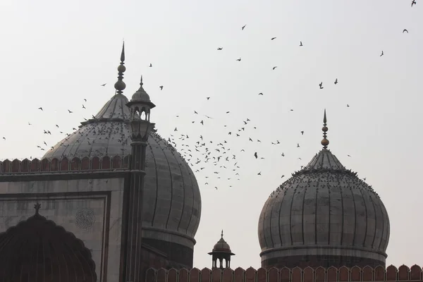Jama Masjid Dillí střecha a kopule architektonický detail — Stock fotografie
