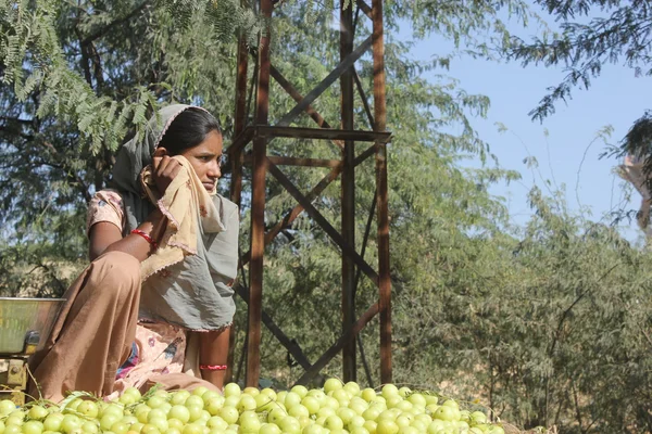 Beautiful Indian girl selling yellow tomatoes on the street — Stock Photo, Image