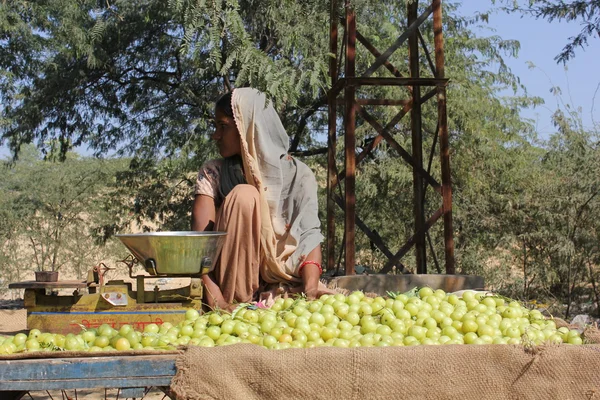 Beautiful Indian girl selling yellow tomatoes on the street — Stock Photo, Image