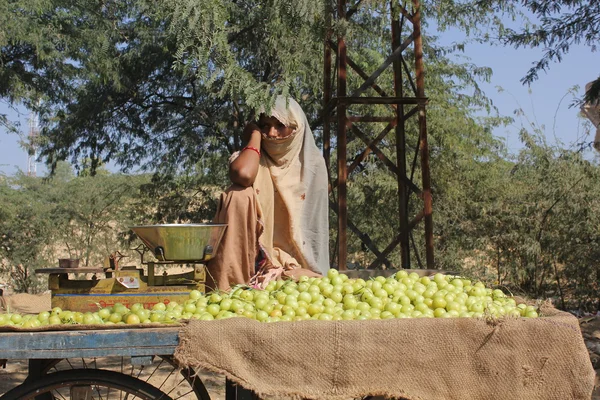 Beautiful Indian girl selling yellow tomatoes on the street — Stock Photo, Image