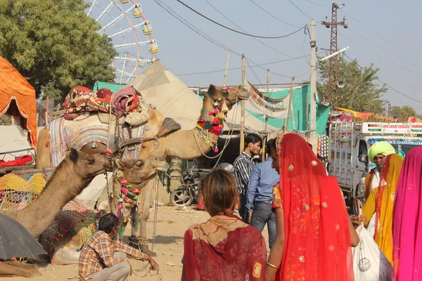 Pueblos indios caminando por la Feria de Pushkar — Foto de Stock