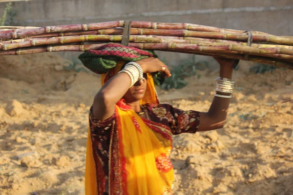 Ινδική γυναίκα που περπατά στο δρόμο που μεταφέρουν κορμό στο κεφάλι της — Φωτογραφία Αρχείου