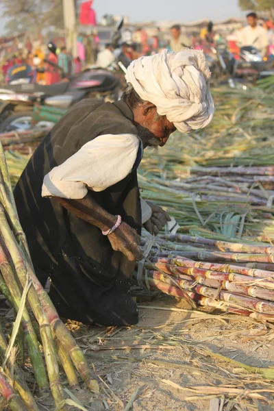 Indian man working on bamboo canes — Stock Photo, Image