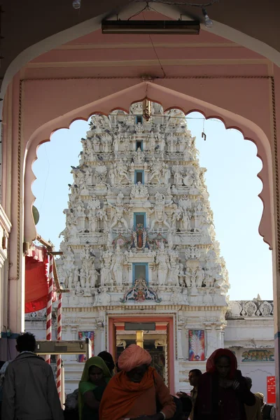 スリ ラマ Vaikuntha 寺院 — ストック写真