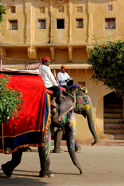 Elephant decorated with traditional painted patterns — Stock Photo, Image