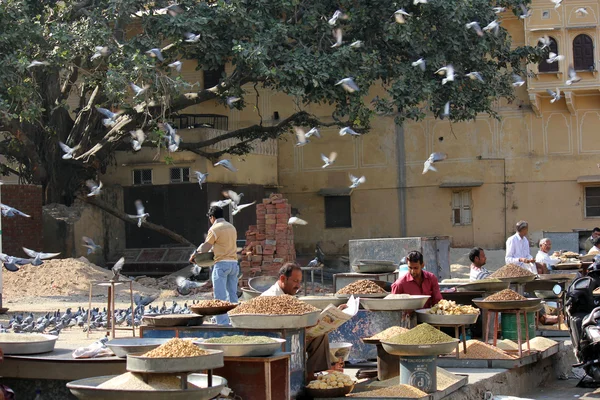 Güvercin ile Jaipur şehrinde günlük semt pazarı — Stok fotoğraf