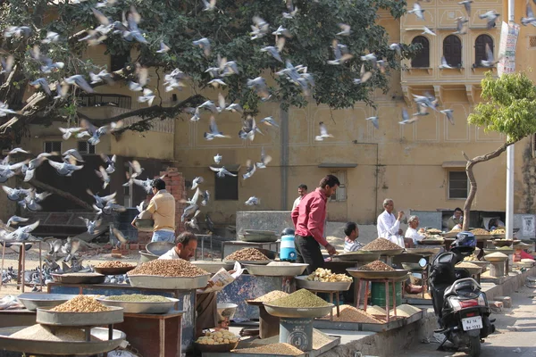 Güvercin ile Jaipur şehrinde günlük semt pazarı — Stok fotoğraf