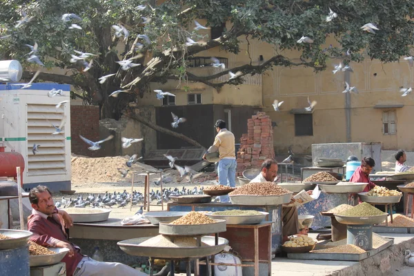 Güvercin ile Jaipur şehrinde günlük semt pazarı — Stok fotoğraf