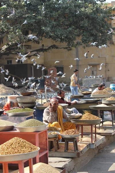 Güvercin ile Jaipur şehrinde günlük semt pazarı — Stok fotoğraf