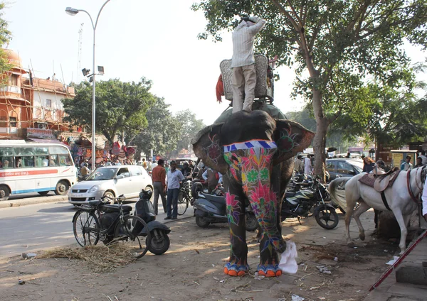 Indisk malet elefant - Stock-foto
