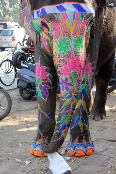 Indian painted elephant — Stock Photo, Image