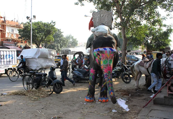 Elefante pintado indio — Foto de Stock