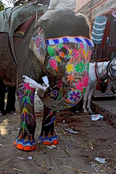Indiska målade elefant — Stockfoto