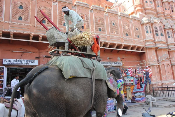 Éléphant peint indien traditionnel — Photo